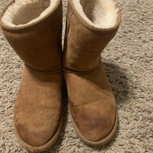 Short classic uggs
